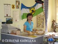 Informační centrum Děda Vševěda